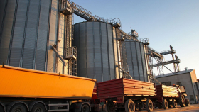 Экспортную пошлину на пшеницу из РФ повысили до 4,365 тысячи рублей